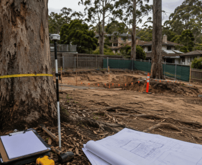 Arborist assessment equipment beside mature trees at an Australian residential development site before council approval.