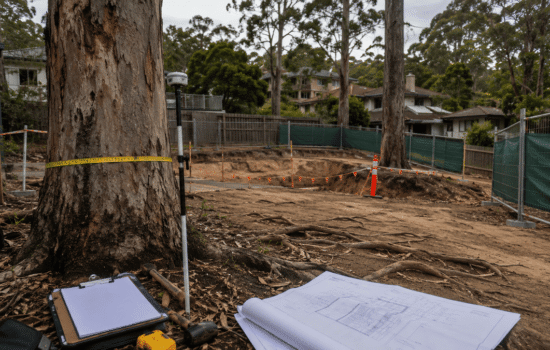 Arborist assessment equipment beside mature trees at an Australian residential development site before council approval.