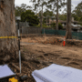 Arborist assessment equipment beside mature trees at an Australian residential development site before council approval.