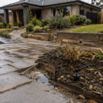 Residential front yard with poor drainage, uneven paving, and stressed plants highlighting the hidden long-term costs of poor landscaping.