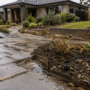 Residential front yard with poor drainage, uneven paving, and stressed plants highlighting the hidden long-term costs of poor landscaping.